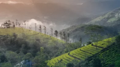 hill stations of Kerala