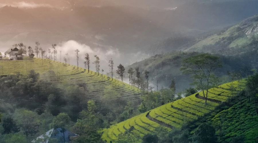 Discover the enchanting hill stations of Kerala in winter vacations