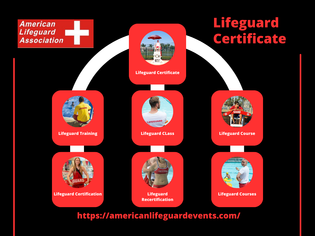 Lifeguard Certificate: Enhancing Water Safety and Professional Opportunities Introduction: