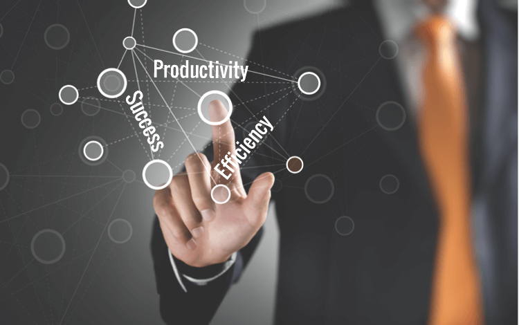Boosting Efficiency and Productivity through Management Services