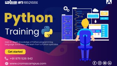Future of Python Programming Language
