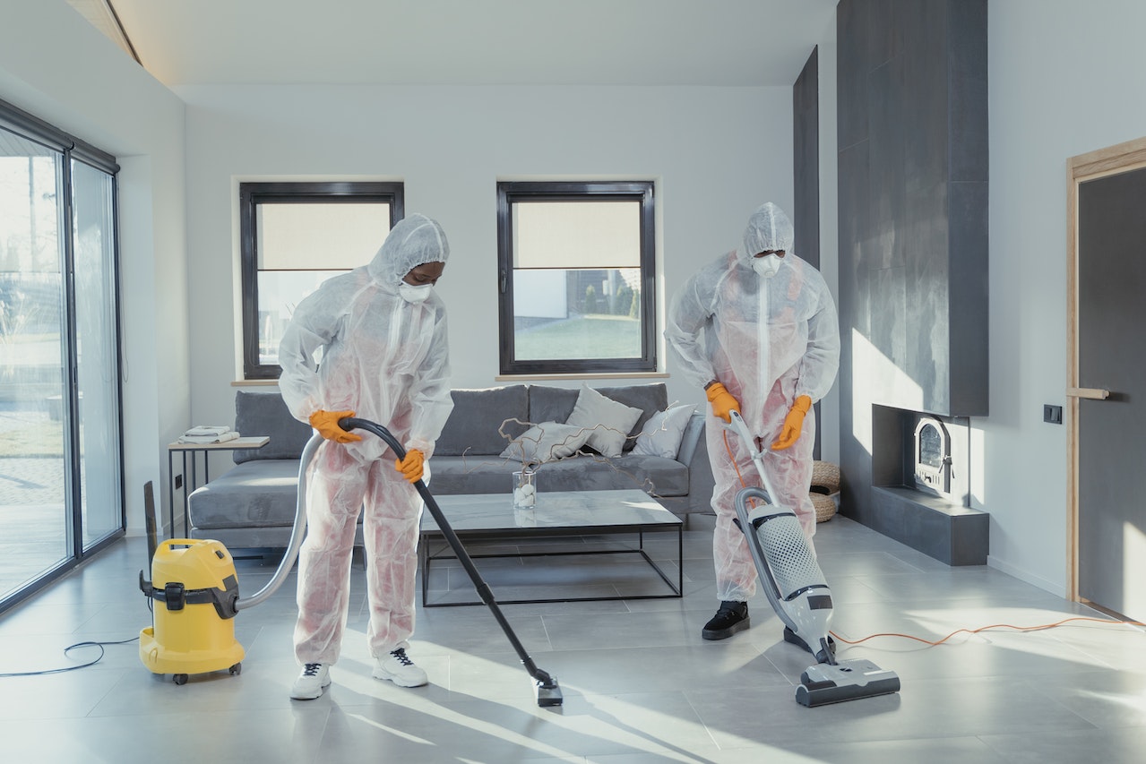Exploring the Health and Aesthetic Advantages of Professional Carpet Cleaning
