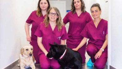 Revolutionizing Veterinary Care: Embracing Innovations for Healthier Pets