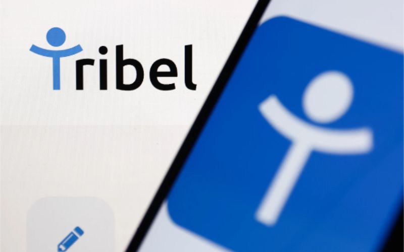 The End of the Social Media Monopoly Why Tribel Could Lead the Charge