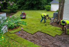 Why Do You Need Professional Sod Installation Contractors for Your Lawn