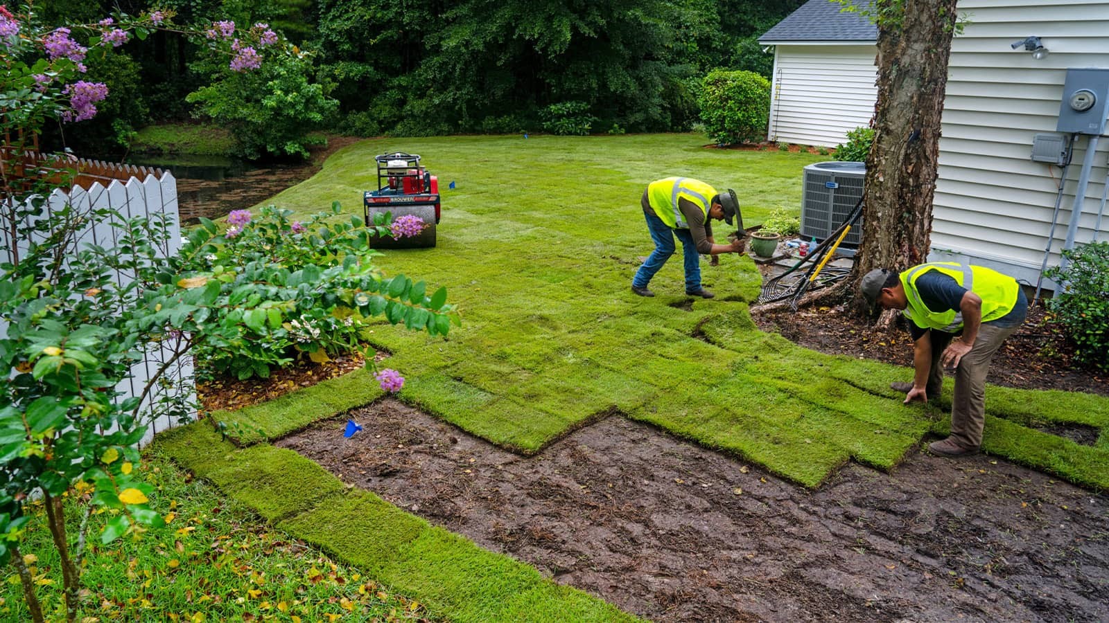 Why Do You Need Professional Sod Installation Contractors for Your Lawn