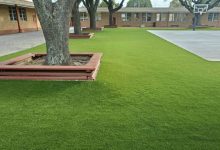 Turf Grass Dallas