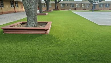 Turf Grass Dallas