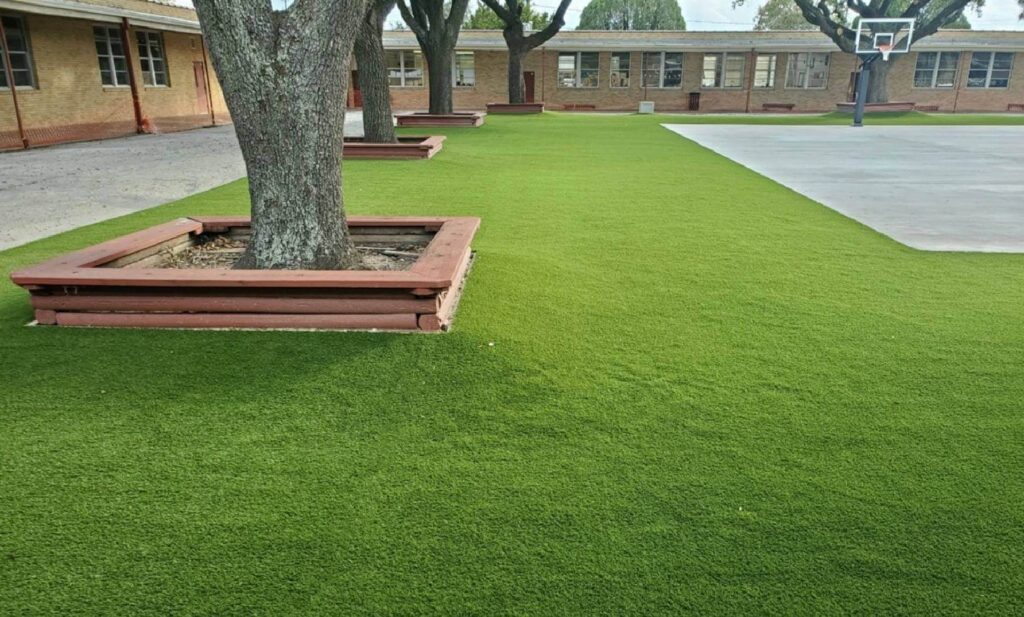 Turf Grass Dallas