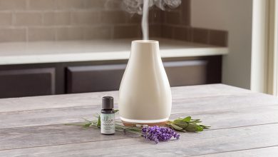 Dragon Essential Oil Diffuser