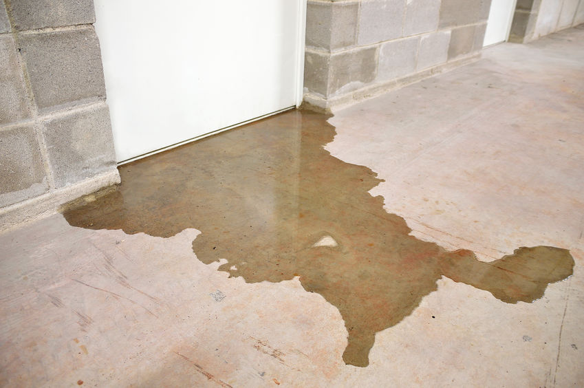 Water Damage Restoration in Camas, Washington: A Comprehensive Guide