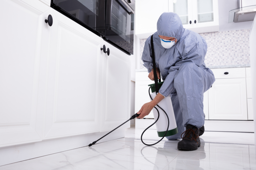 Common Pest Problems and Solutions in Schenectady, NY