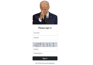 Bidencash login